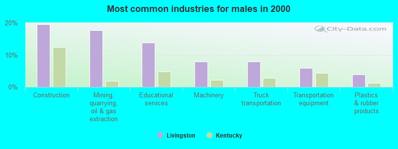 Most common industries for males in 2000