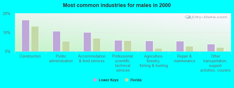 Most common industries for males in 2000