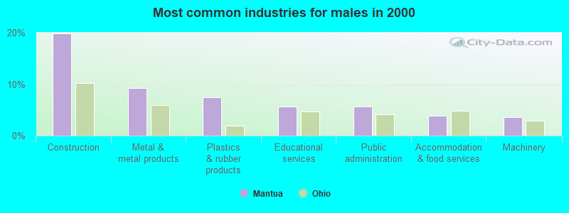 Most common industries for males in 2000