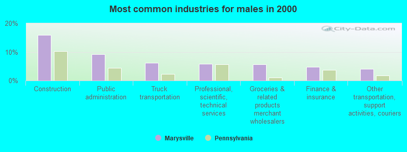 Most common industries for males in 2000