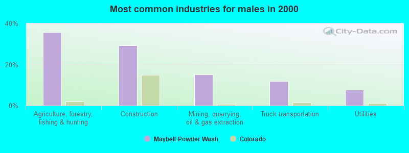 Most common industries for males in 2000