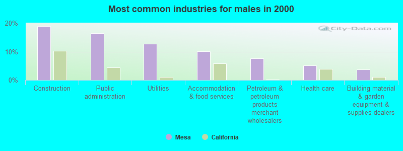 Most common industries for males in 2000