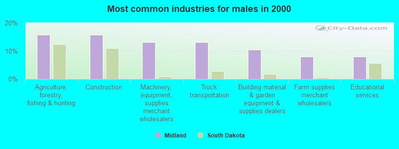 Most common industries for males in 2000