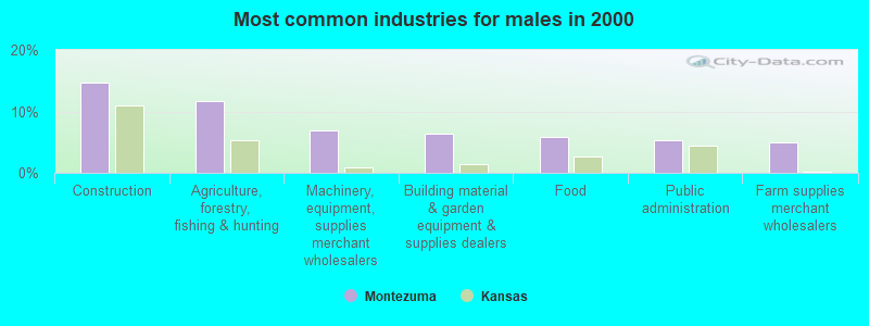 Most common industries for males in 2000