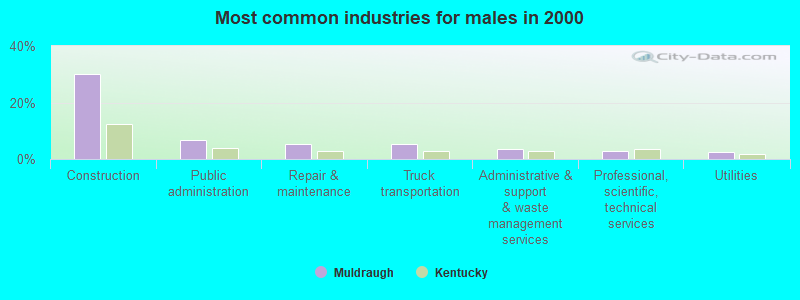 Most common industries for males in 2000