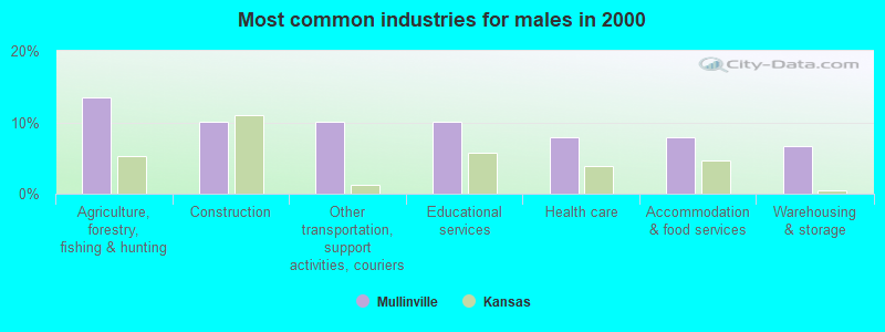 Most common industries for males in 2000