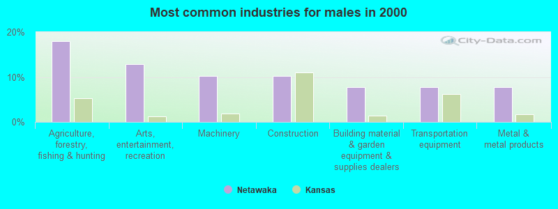 Most common industries for males in 2000