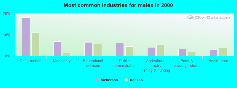 Most common industries for males in 2000