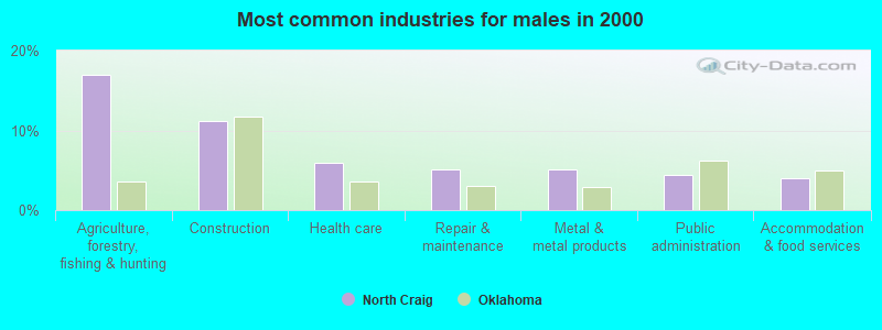 Most common industries for males in 2000