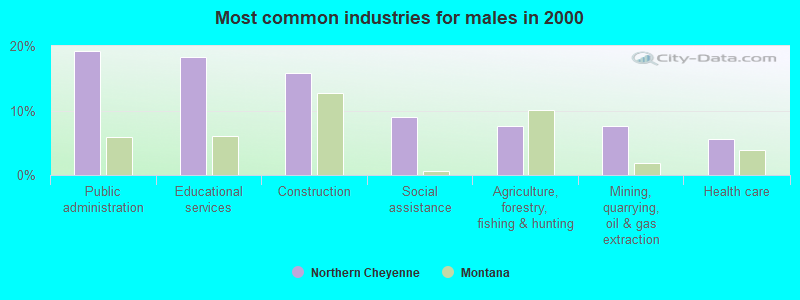 Most common industries for males in 2000