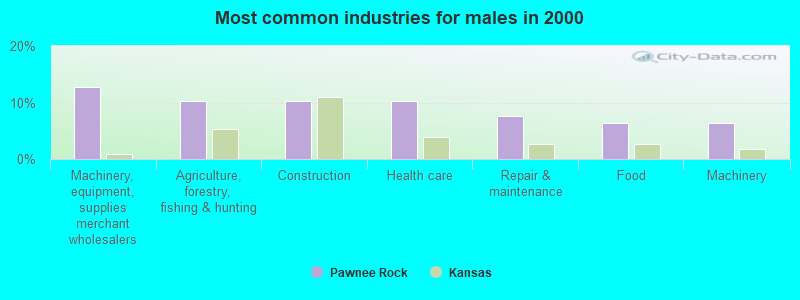 Most common industries for males in 2000