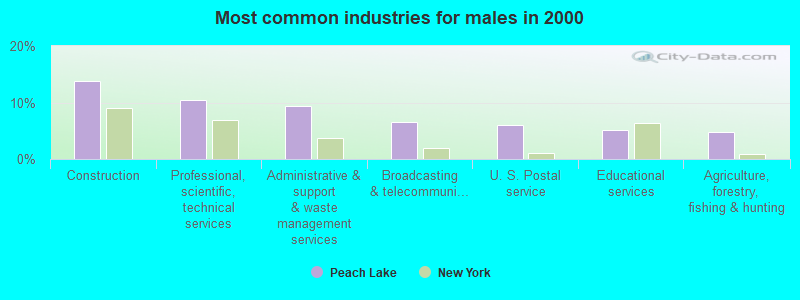 Most common industries for males in 2000