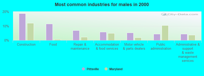 Most common industries for males in 2000