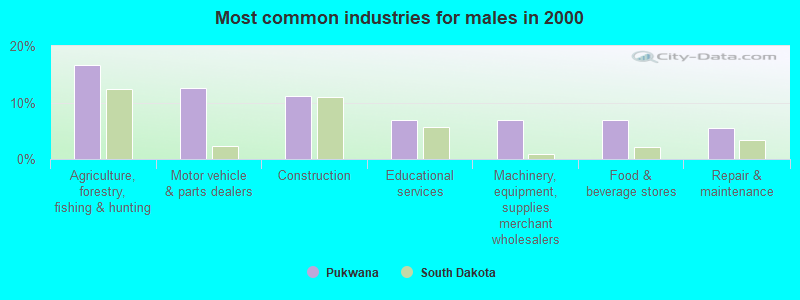 Most common industries for males in 2000