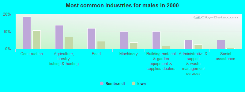 Most common industries for males in 2000