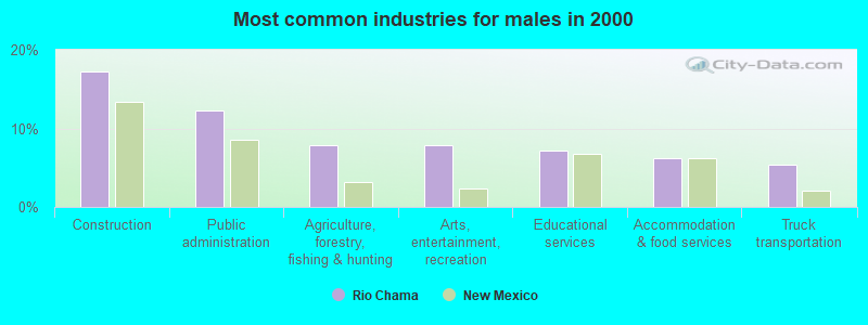 Most common industries for males in 2000