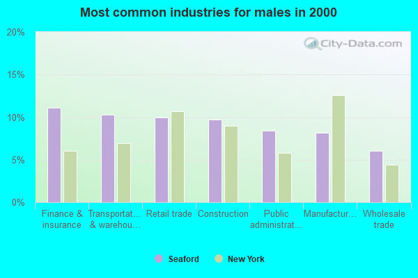 Seaford, New York (NY 11783) profile population, maps, real estate