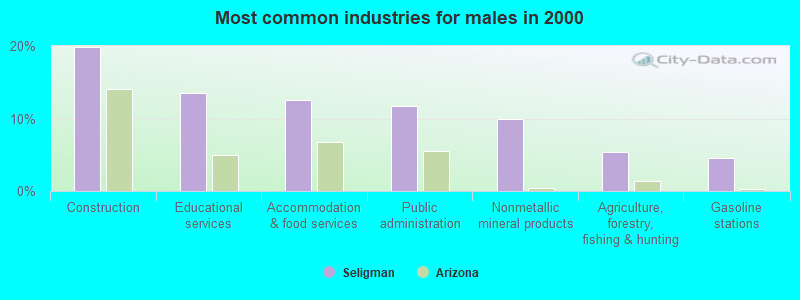 Most common industries for males in 2000