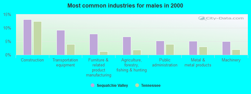 Most common industries for males in 2000