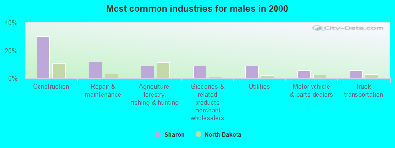 Most common industries for males in 2000