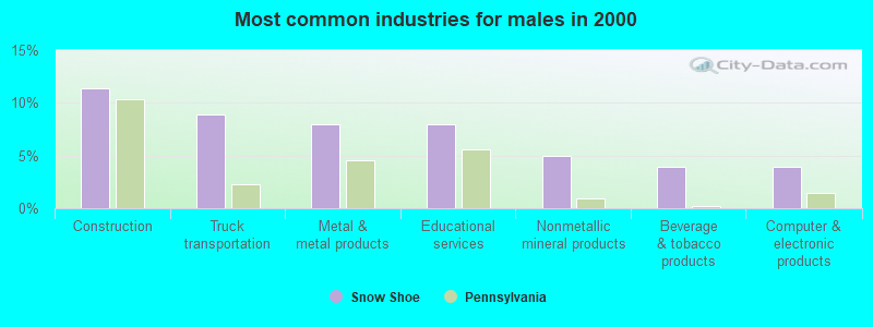 Most common industries for males in 2000