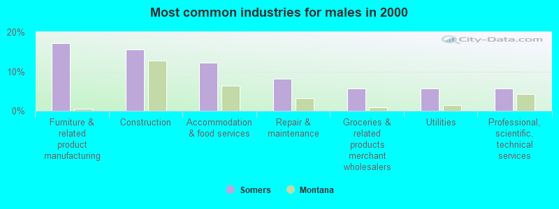 Most common industries for males in 2000