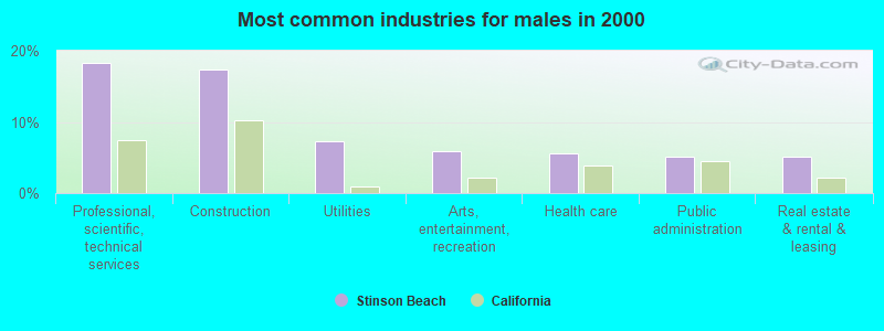 Most common industries for males in 2000