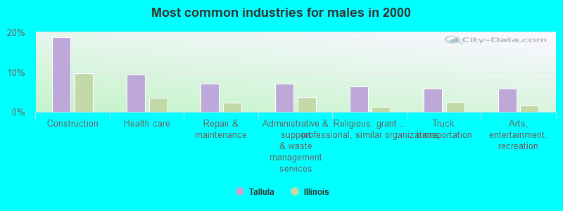 Most common industries for males in 2000