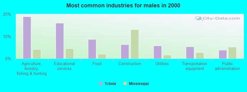 Most common industries for males 