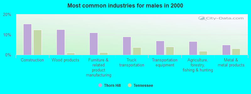 Most common industries for males in 2000