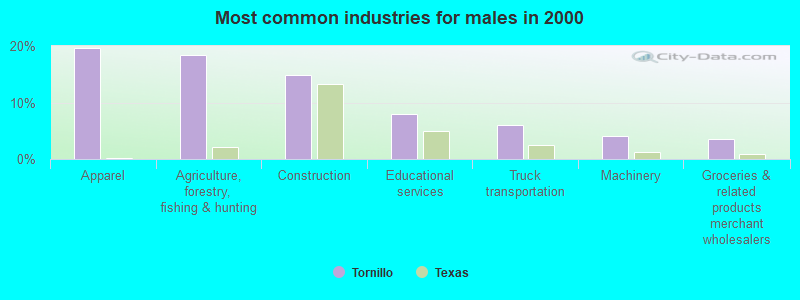 Most common industries for males in 2000