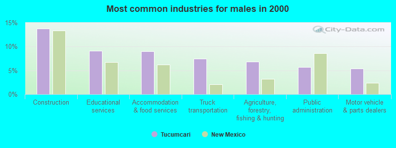 Most common industries for males in 2000