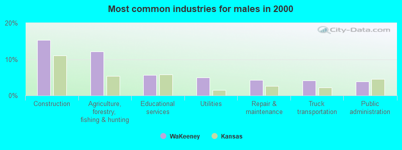 Most common industries for males in 2000