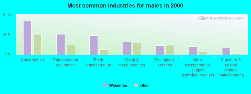 Most common industries for males in 2000