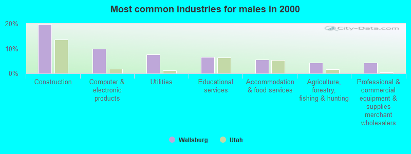 Most common industries for males in 2000