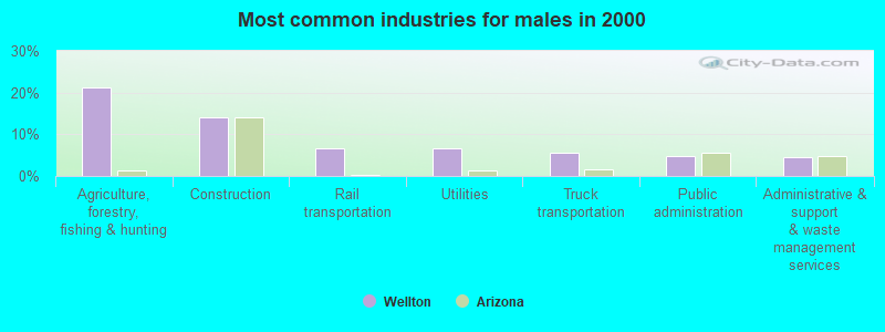 Most common industries for males in 2000