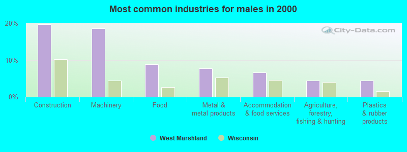 Most common industries for males in 2000