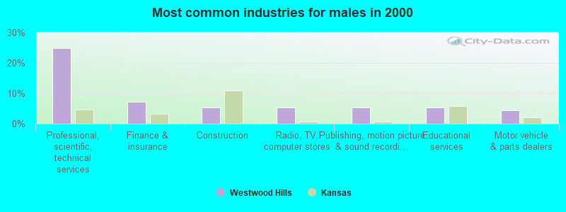 Most common industries for males in 2000