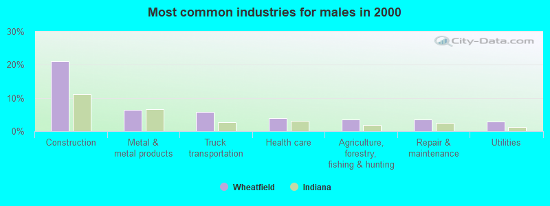 Most common industries for males 