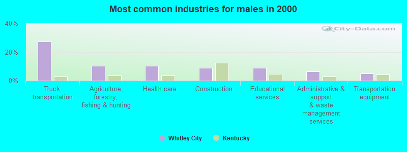 Most common industries for males in 2000