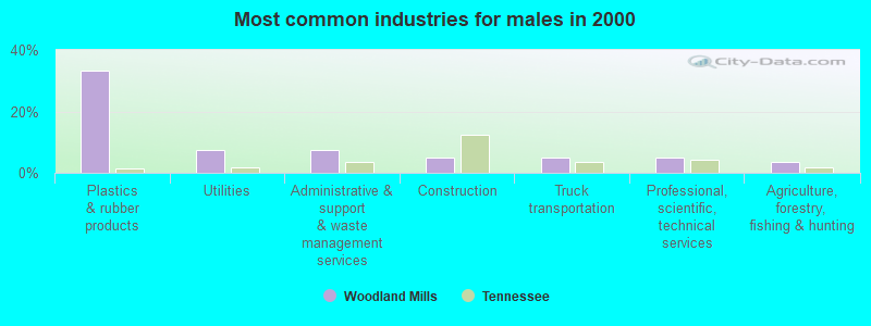 Most common industries for males in 2000