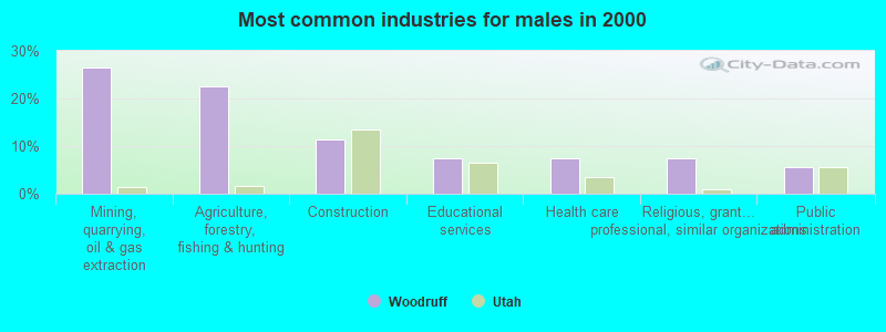 Most common industries for males in 2000