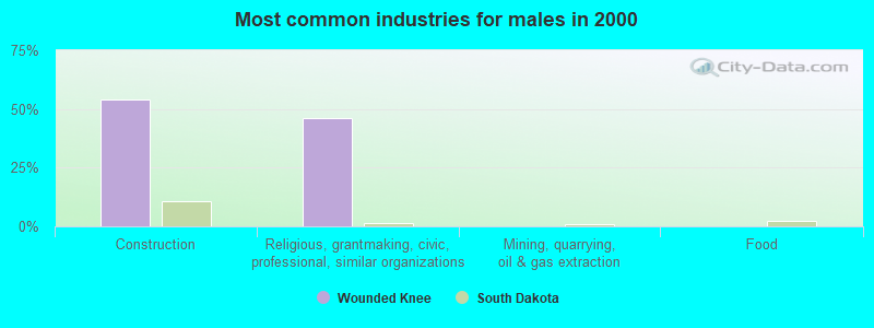 Most common industries for males in 2000