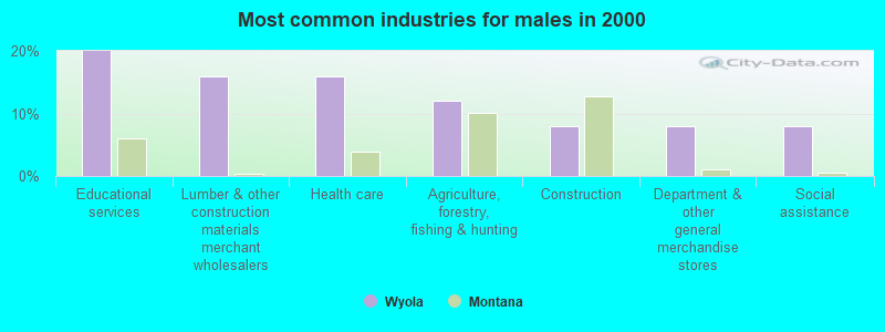 Most common industries for males in 2000