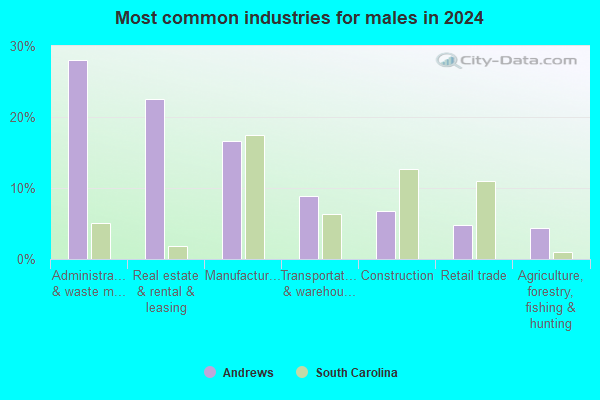 Andrews, South Carolina (SC 29510) profile: population, maps, real ...