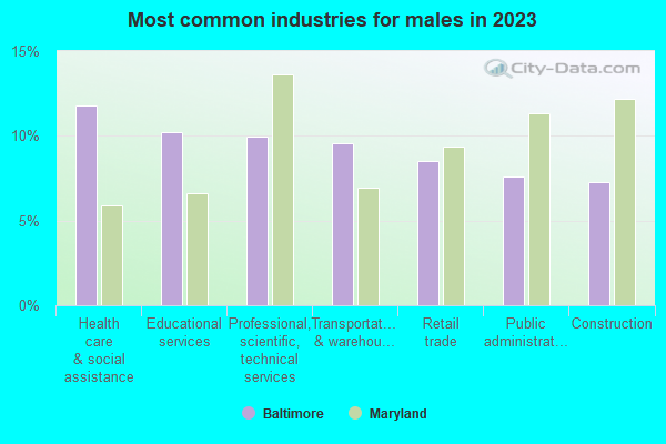 Most common industries for males in 2019