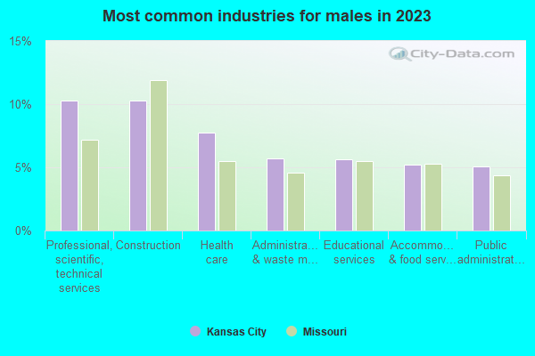 U S CENSUS BUREAU QUICKFACTS KANSAS CITY CITY MISSOURI visual data 6