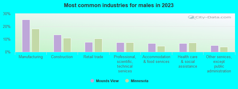 Most common industries for males in 2023