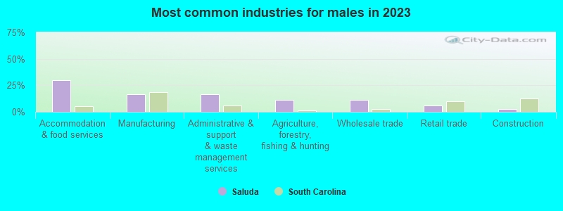 Most common industries for males in 2023