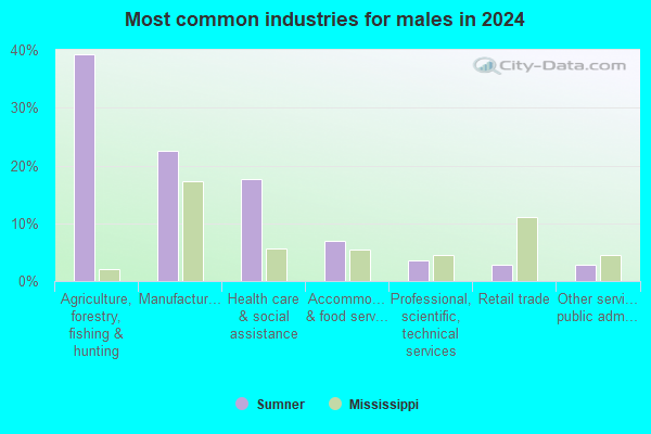 Sumner, Mississippi (MS 38957, 38966) profile: population, maps, real ...